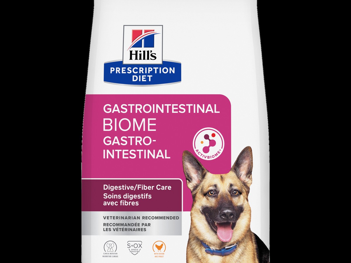 Gastrointestinal Dog